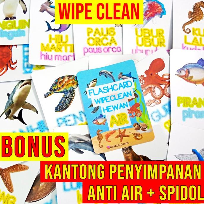 Flashcard Anak Hewan Air Hidup di Laut Ikan Hiu Gurita Cumi Cumi Udang