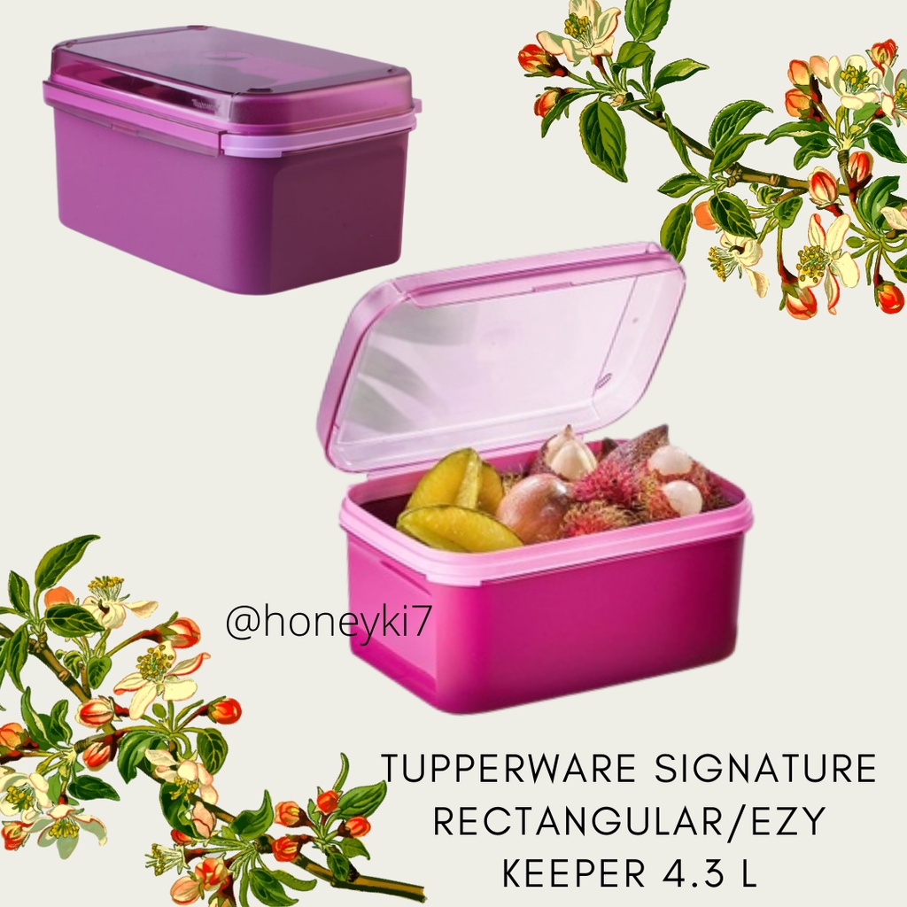 Tupperware Signature Rectangular/ Ezy Keeper 4.3 Liter