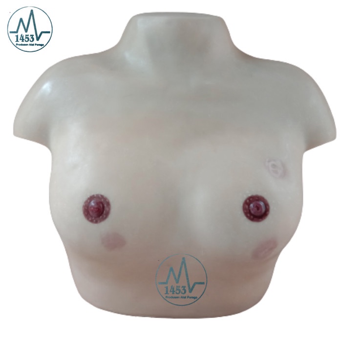 Payudara Ibu Menyusui Phantom Manikin Model/Silicone