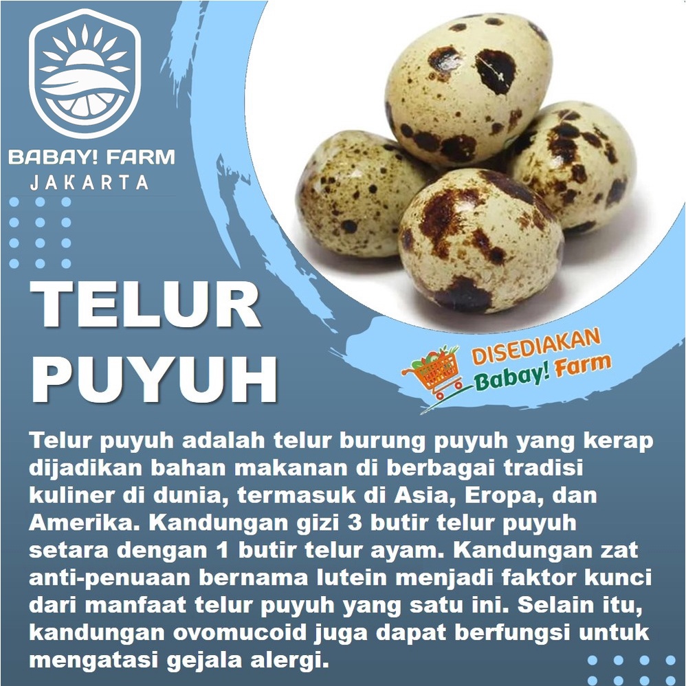 

Telur Puyuh