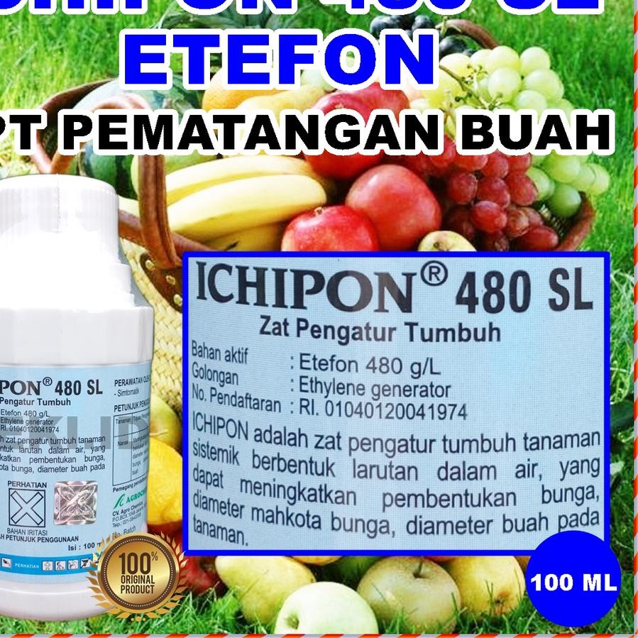 Jual Depan Ichipon 480SL 100 Ml ZPT Etefon Zat Pengatur Tumbuh Tanaman ...