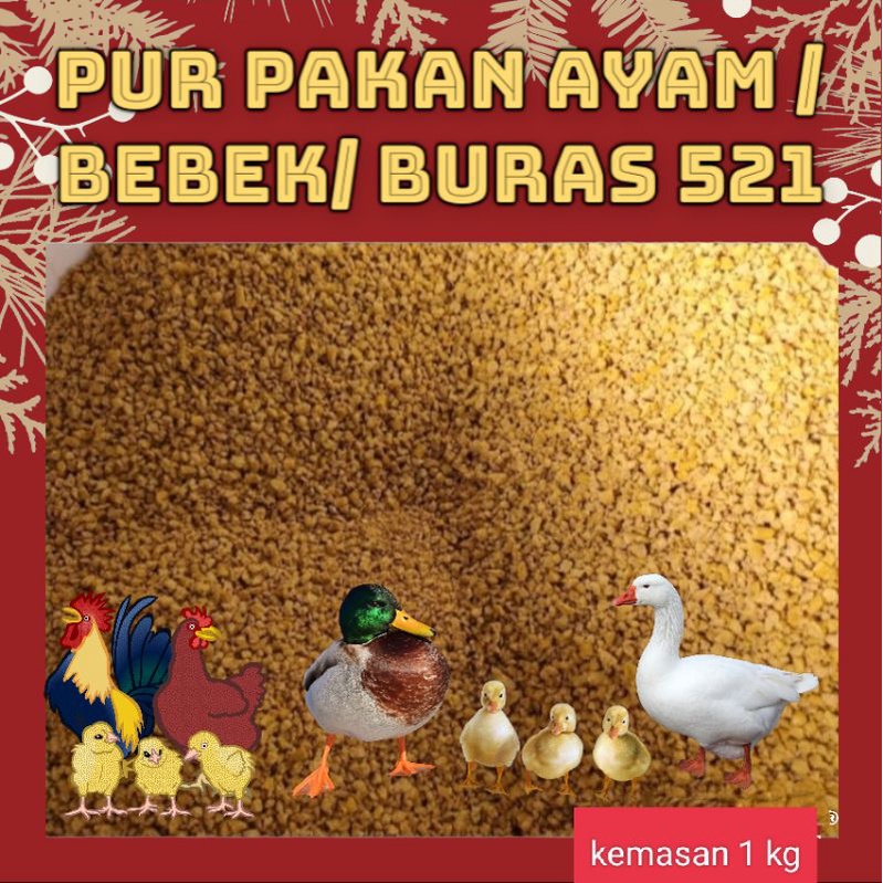 Pur pakan ayam 521 BURAS bebek dewasa 1 kg murah