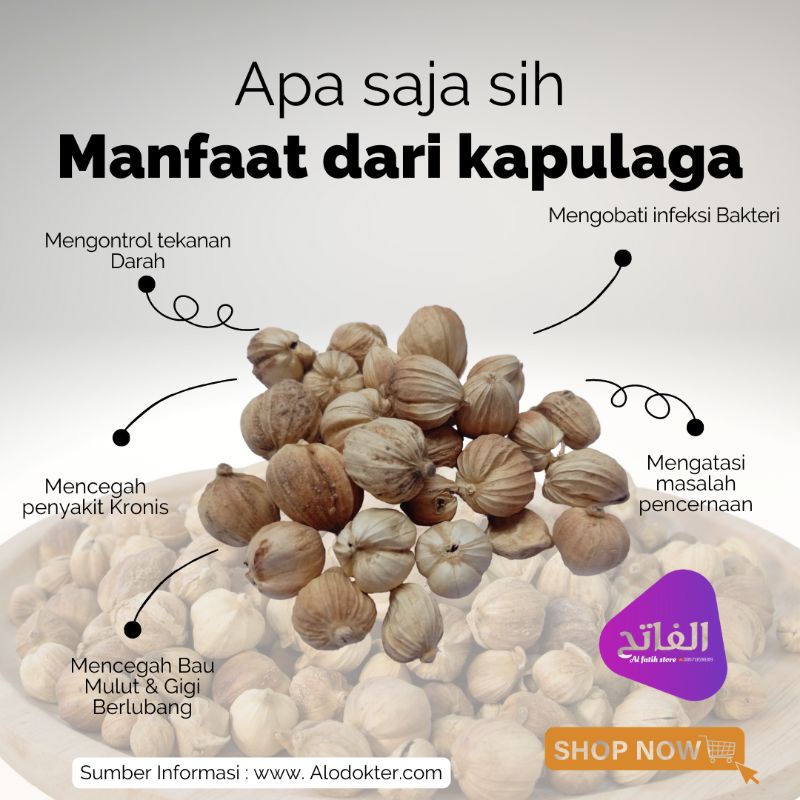 

KAPULAGA LOKAL ( Tanpa Pemutih )