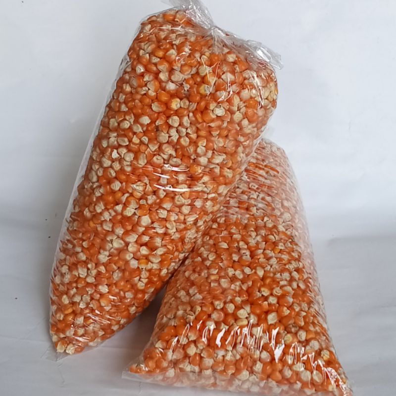 jagung mentah kering 1 kg