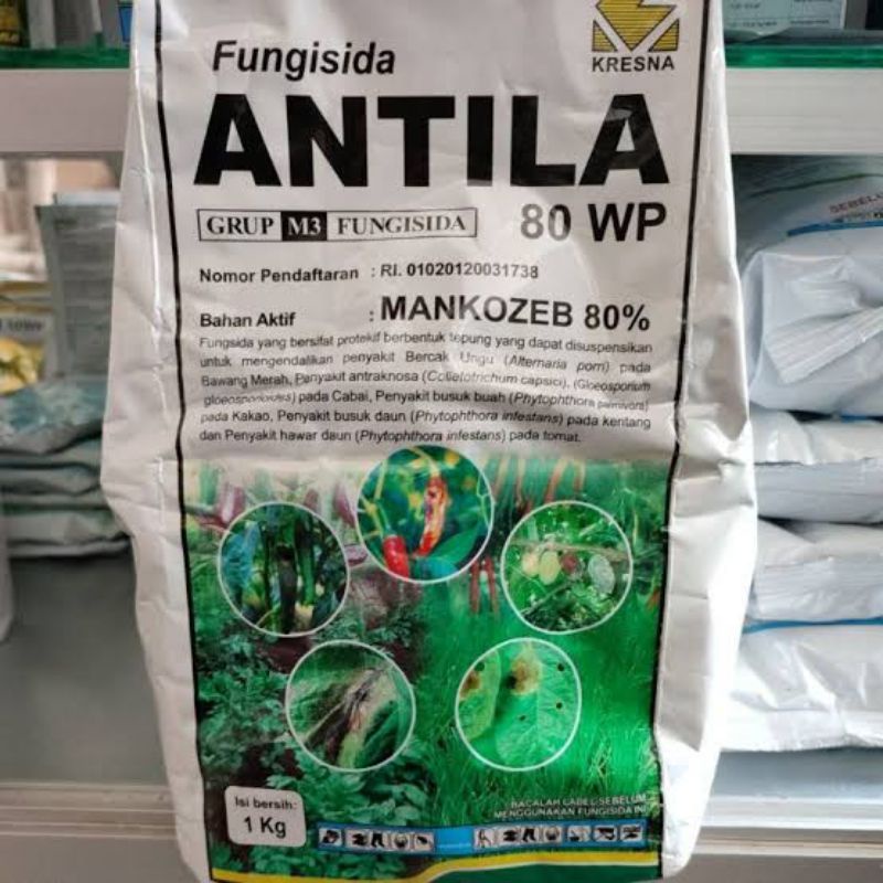 ANTILA 80WP