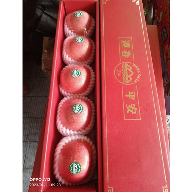 

HAMPERS BUAH APEL WANGSHAN GIFT BOX IMLEK CANTIK DAN FRESH