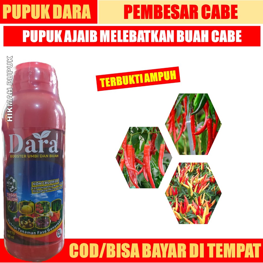 PUPUK SEMPROT DARA 500 ML Booster Cabe Terbaik Mampu Melebatkan Cabe dan Mekar Tanpa Rontok - Obat M