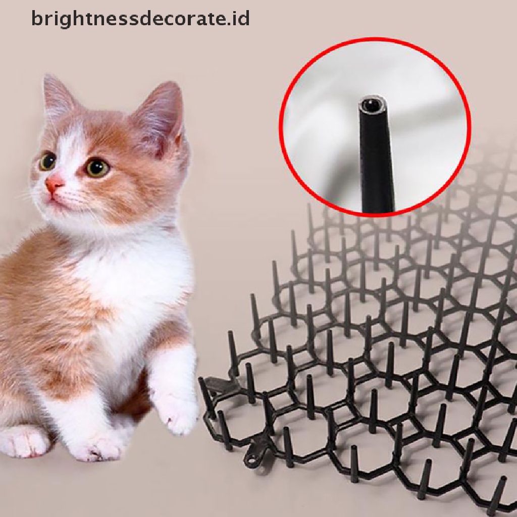 [Birth] 1pcs 13cmx49cm Taman Tusuk Strip Gali Stop Pengusir Kucing Jera Tikar [ID]