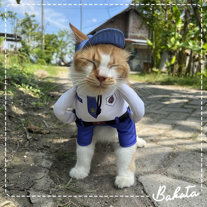 Kostum Anak Sekolah untuk kucing dan anjing Baju Berdiri anak SMA / Kostum kucing Murah / Baju Kucing Tangerang size S-XL