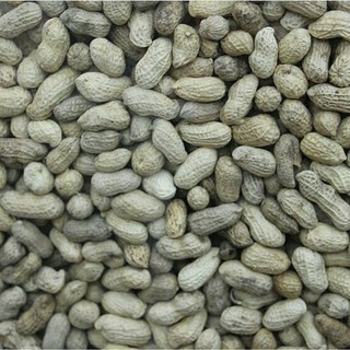 

KACANG KULIT SANGRAI ½KG/KACANG BAKAR ½KG/ KACANG RENYAH/ KACANG MURAH/KACANG KILOAN/AGEN SNACK