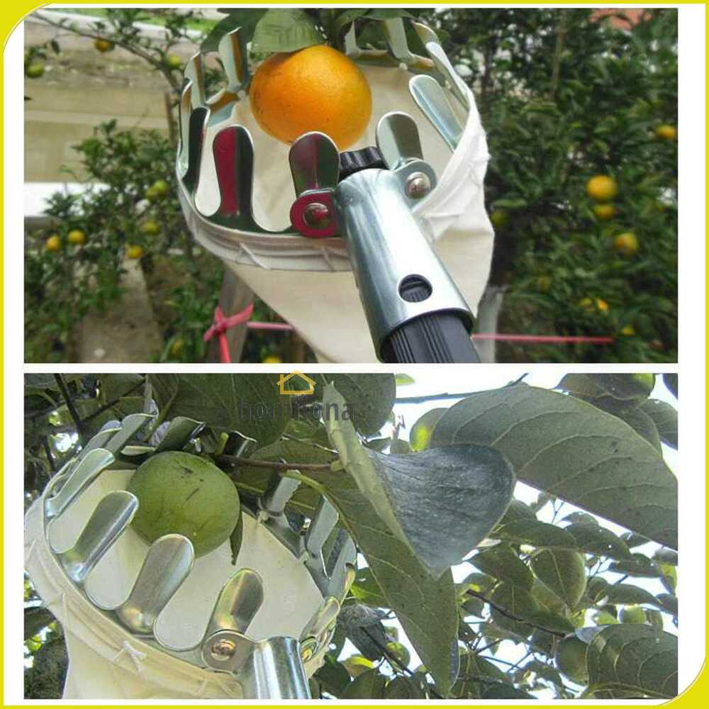 DIDIHOU Jaring Net Pemetik Buah Garden Fruit Picker Collection Head - A48