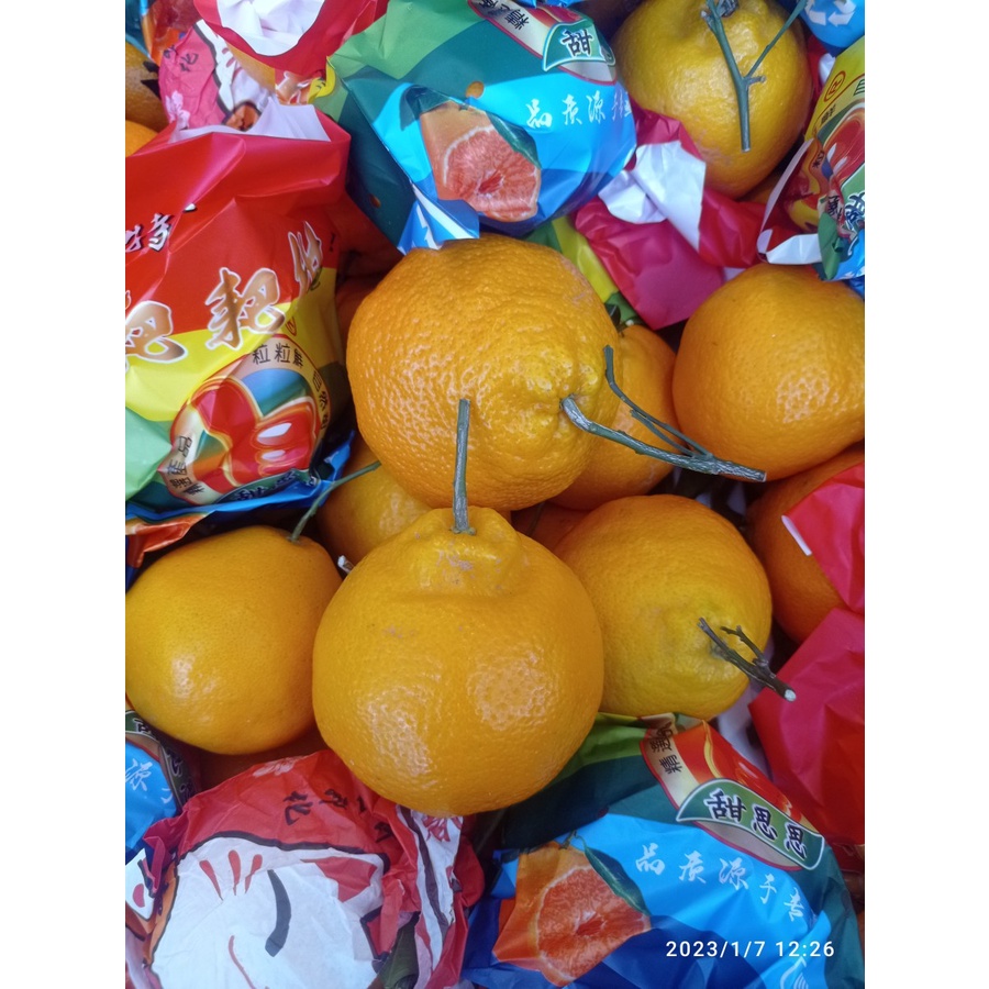 

JERUK CHUN JIAN PREMIUM - MANIS PER KG