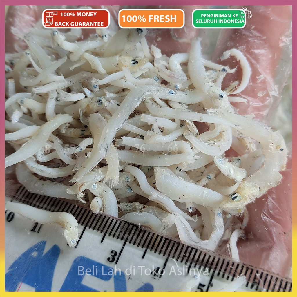 

PROMO Teri Nasi Medan SUPER 250gram / 1/4Kg - Size Toge 1CM Up / Ikan Asin Teri Mentah Siap Masak