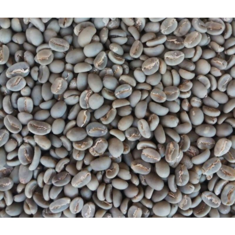 

coffee bean