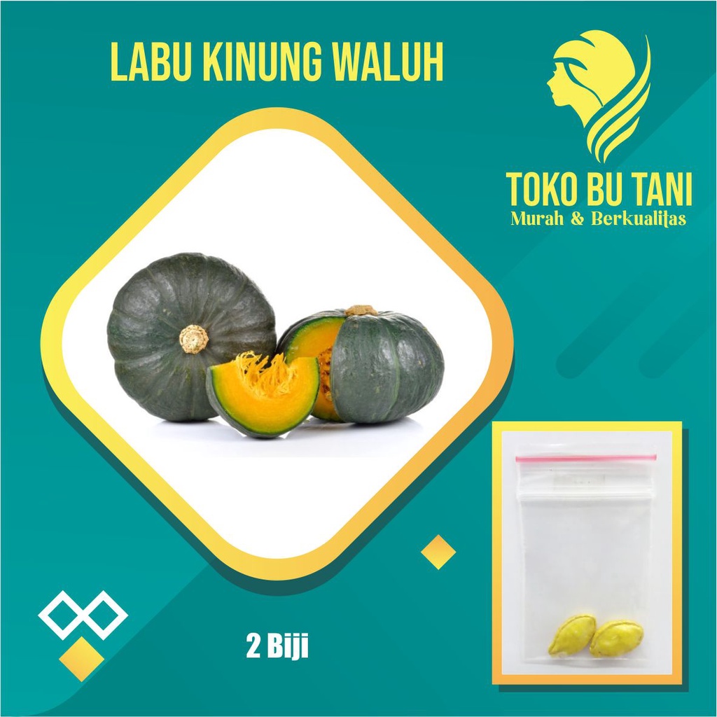 Paket 6 benih Buah Siap Semai Terjangkau