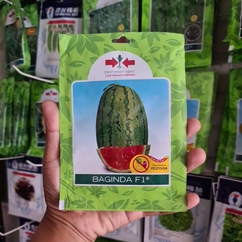 Benih Semangka BAGINDA isi 80 Biji