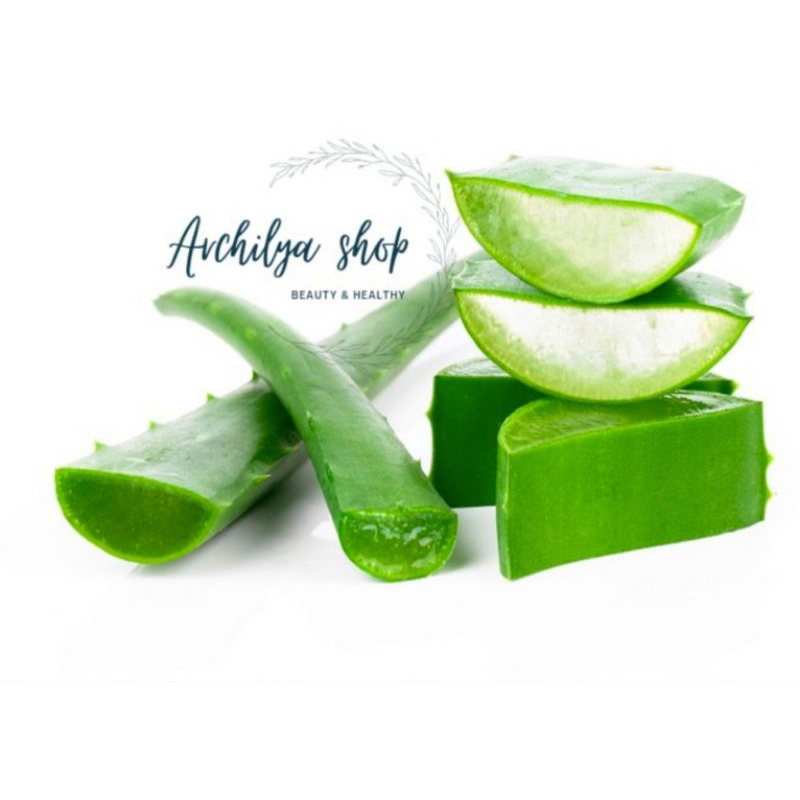 Pelepah Lidah Buaya Asli / Aloe Vera Fresh Satuan