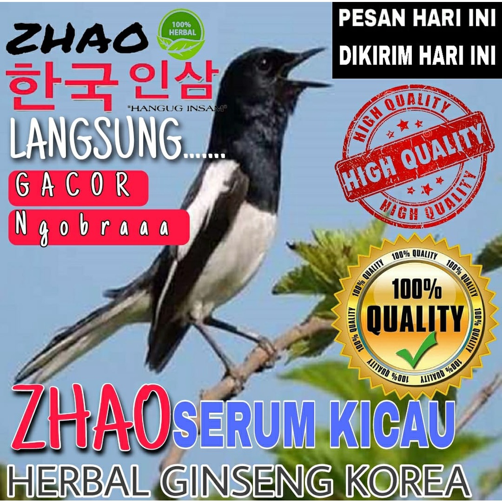 Vitamin Burung Kacer Ngpbra Penggacor Seketika hebatnya zhao ginseng korea  Cukup 3 Tetes Langsung G