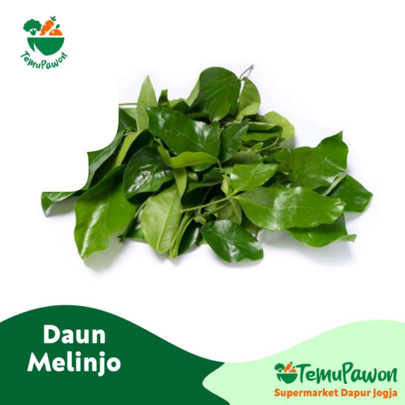 

DAUN MELINJO PER PACK - Paket Daun Melinjo - TemuPawon