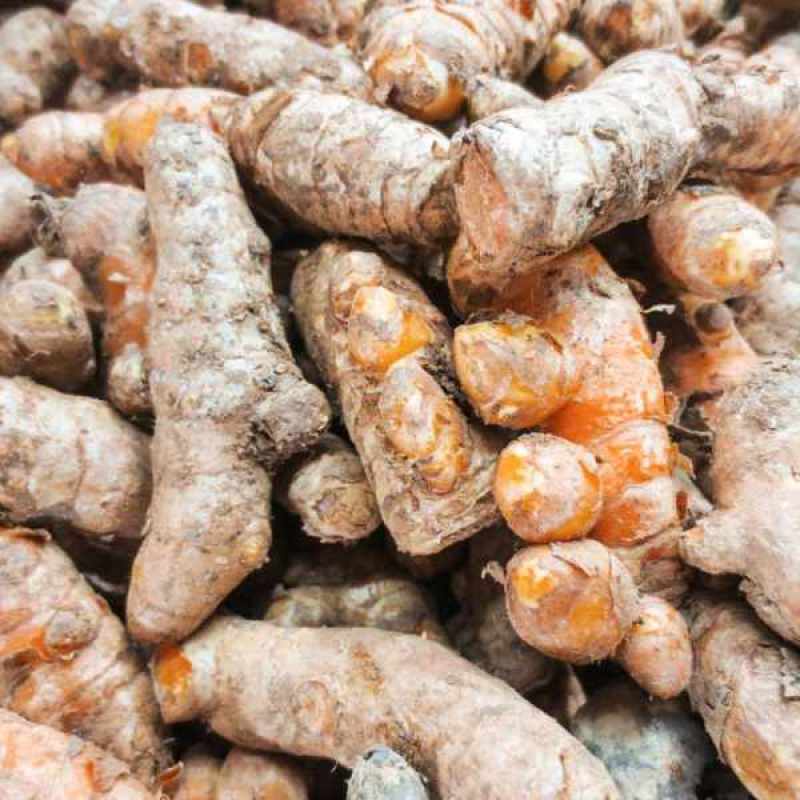 

kunyit serba 3 ribu