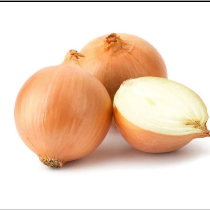 

Bawang bombai sedang grade A paket goceng