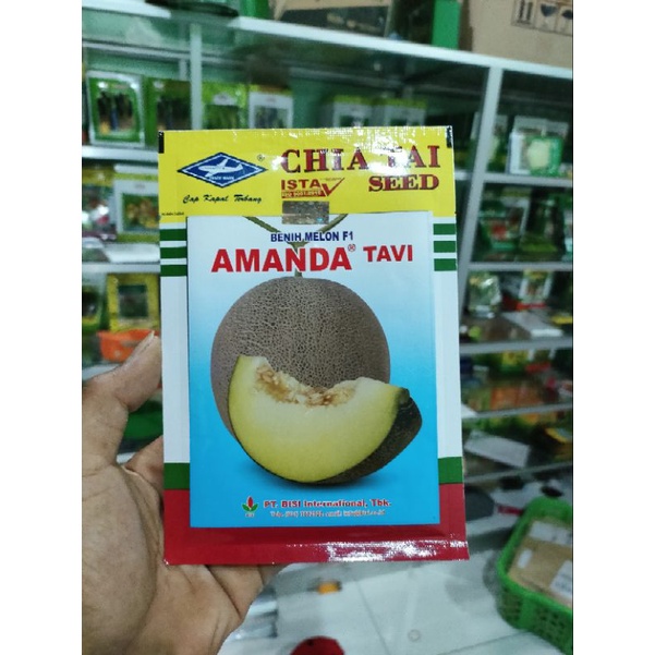Melon Amanda Tavi 13gr Original Pabrik Tahan Virus Buah Disukai Pasar
