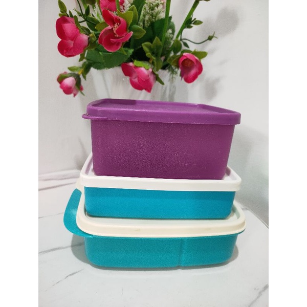PL preloved Tupperware kotak bekal anak | toples Tupperware | box makan | bekal sekolah