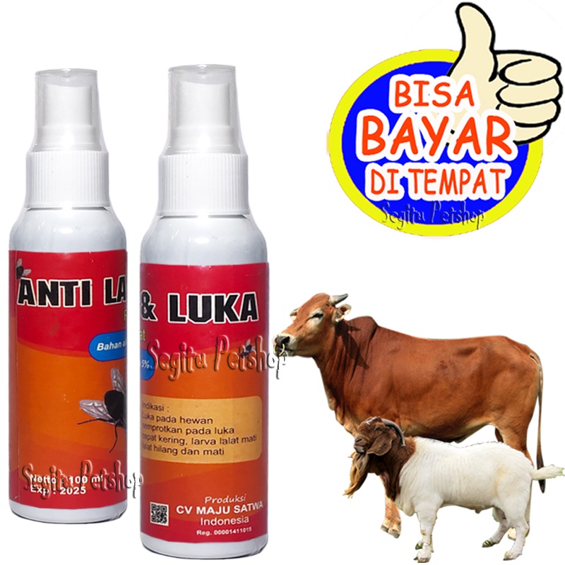 OBAT KORENG SAPI KAMBING INFEKSI GUDIX JAMUR ANTI LALAT LUKA
