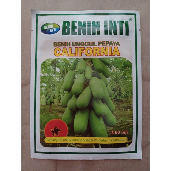 Bibit Benih Inti Pepaya CALIFORNIA 60 biji Benih Unggul Pepaya