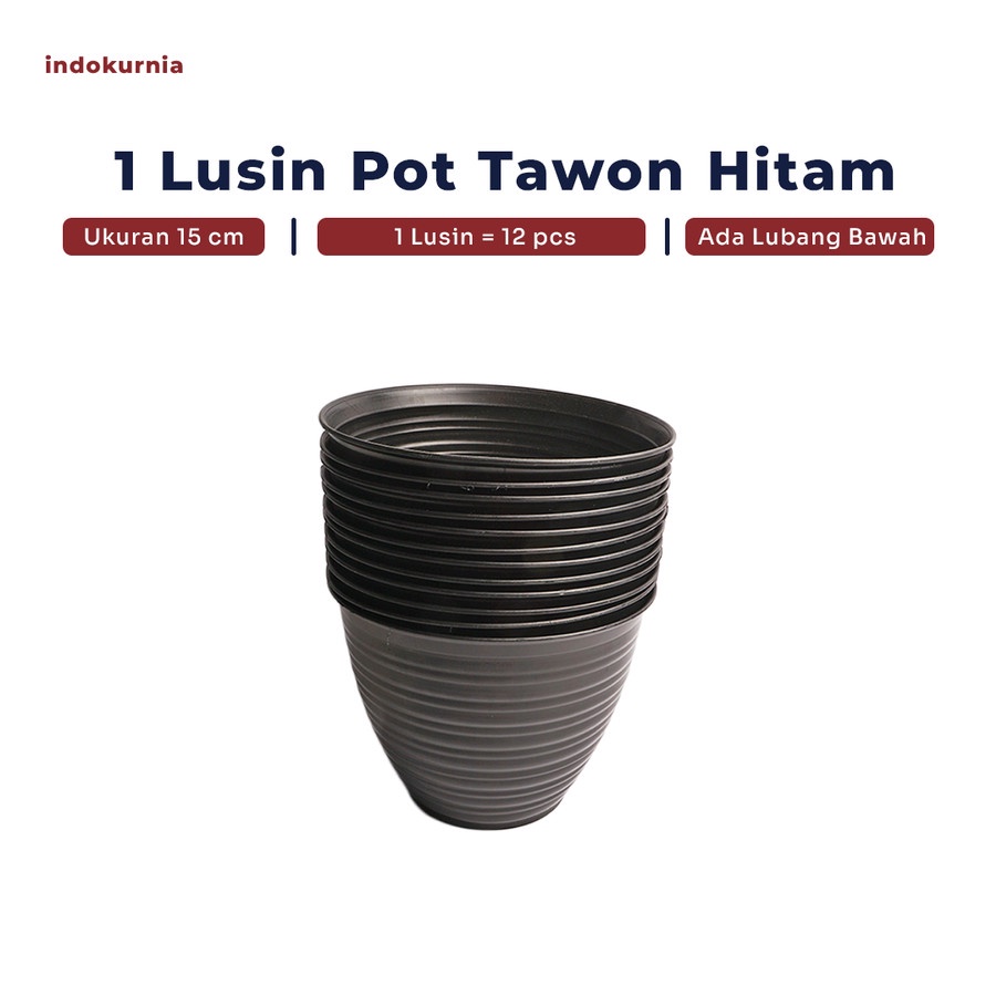 IK - 12PCS POT TAWON PUTIH POT TANAMAN PIRUS TAWON MADU HITAM 15 CM