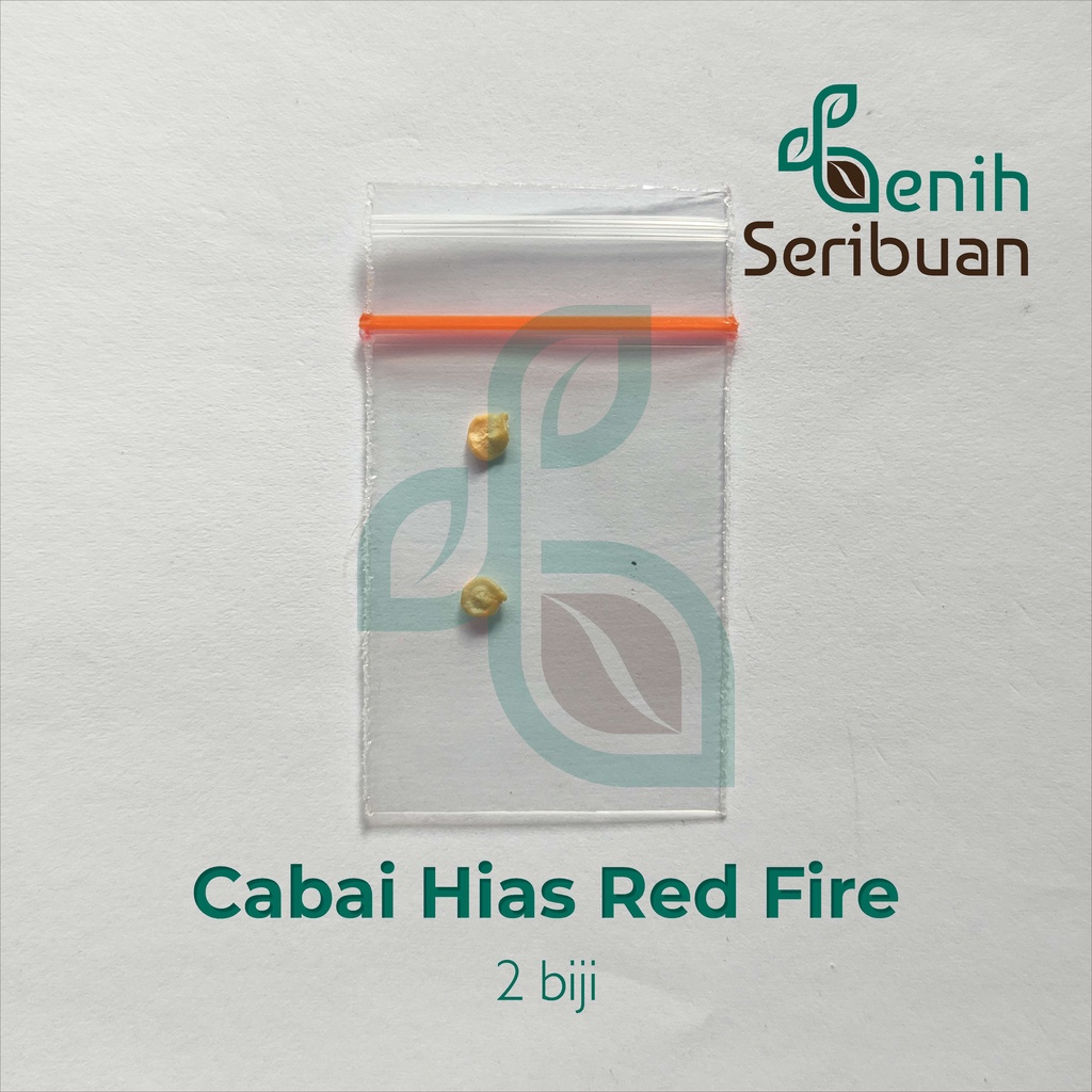 Benih Seribuan - 2 Benih Cabe Hias Red Fire Rainbow