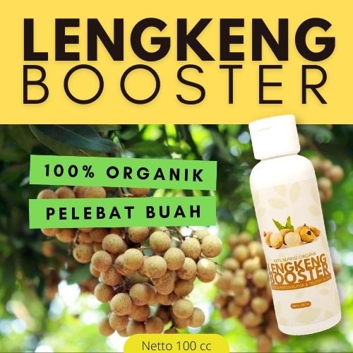 Pupuk Booster Lengkeng 100 cc / Pupuk Pelebat Buah Kelengkeng / Pupuk Perangsang Bunga dan Buah Kele
