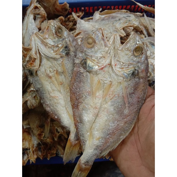 

IKAN ASIN TIGO WOJO 500GRAM