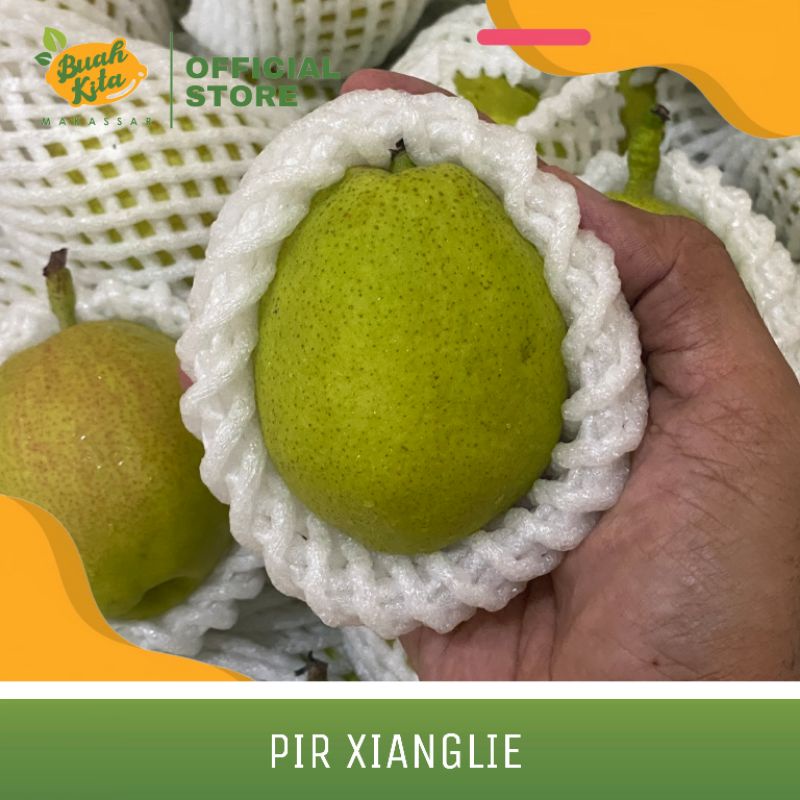 

PIR XIANGLIE MANIS IMPORT
