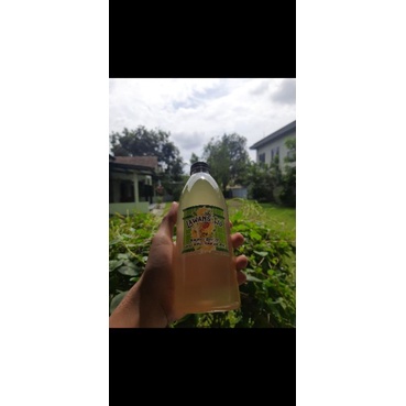

Fermentasi Buah Asli