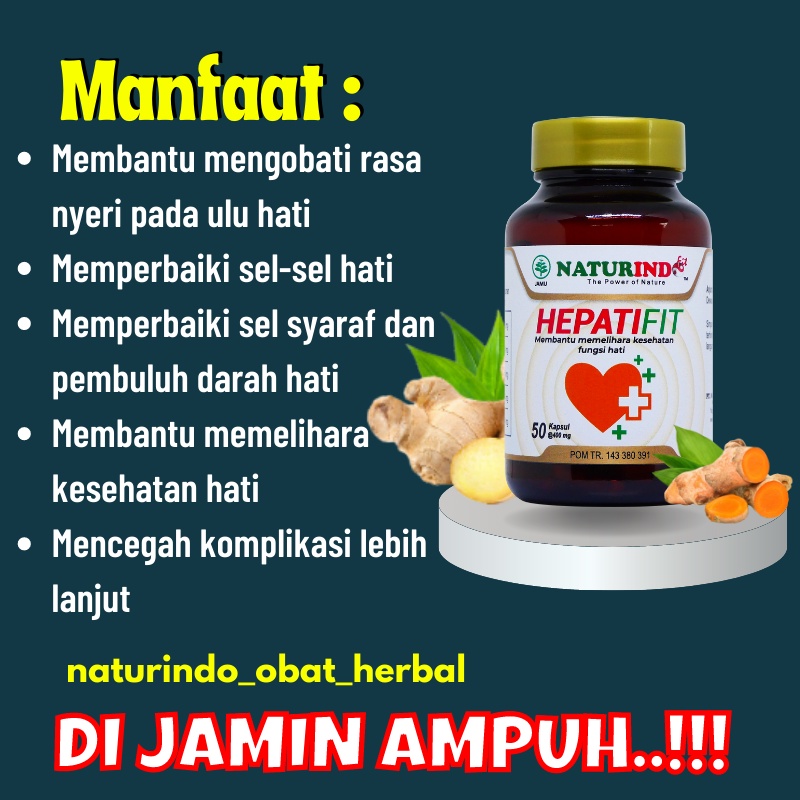 Obat Herbal Hepatitis A B Kronis Paling Ampuh Fatty Liver Perlemakan Ulu Hati Sakit Mata Kuning HEPA