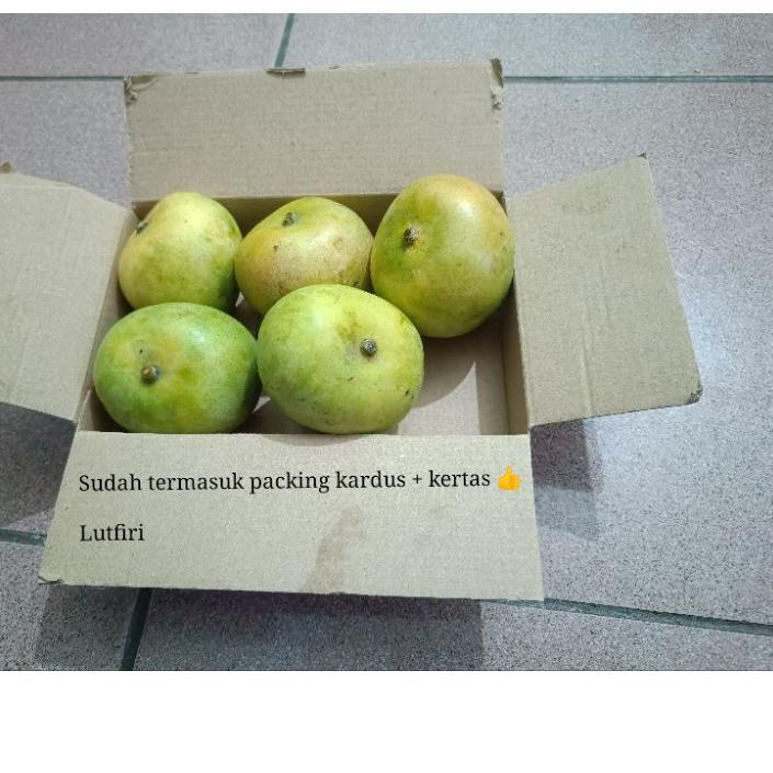 

Promo[KF7]-Mangga Apel Matang Mateng 1 kilogram Enak Asem Manis Segar fresh manisan makan langsung