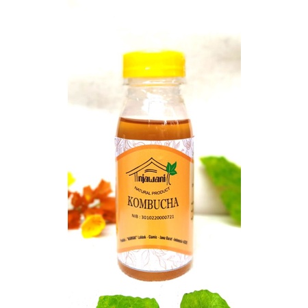 

Kombucha/Kombucha Njawani/Teh Fermentasi/teh sejuta manfaat 100 ml