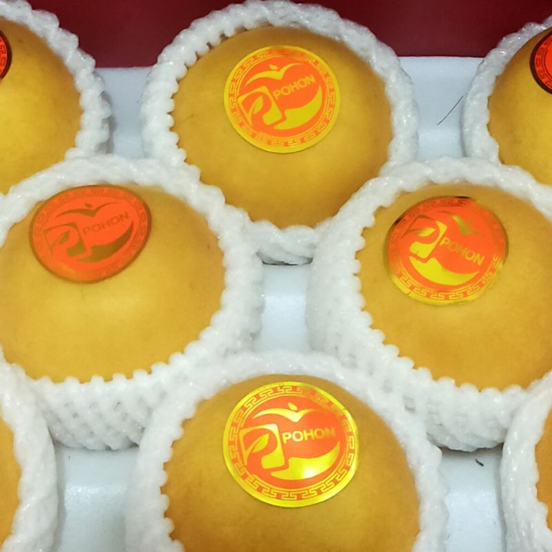 

Buah Pear Singo Premium Edisi CNY