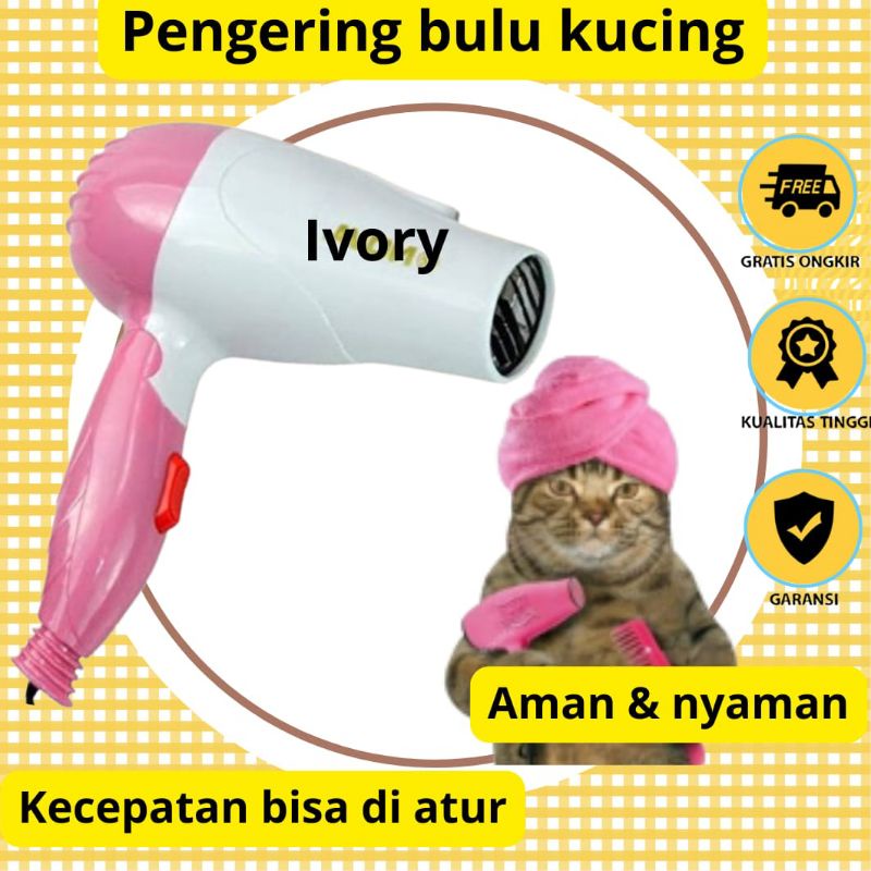 pengering bulu kucing hairdriyer kucing ivory