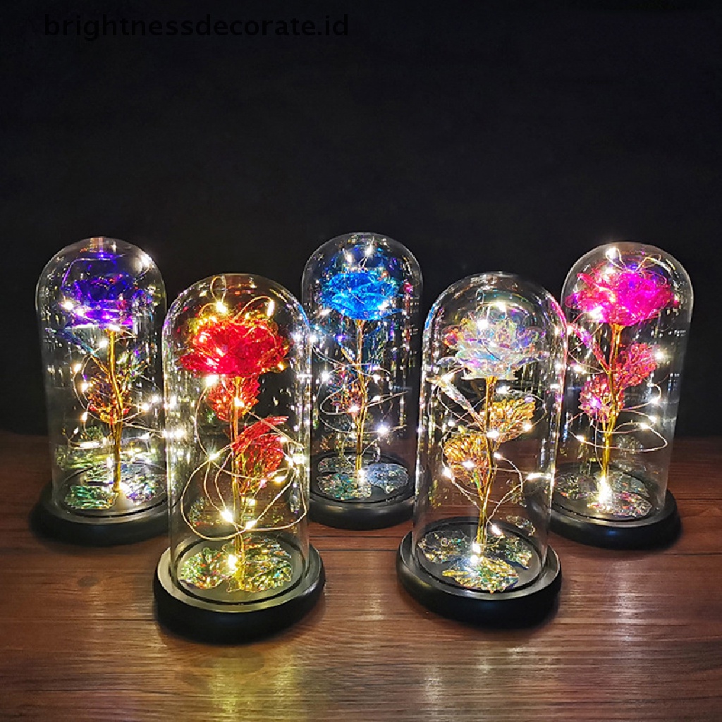 [Birth] Beauty and the Beast Bunga Mawar Penutup Kaca Lampu LED Valene's Day Gift [ID]