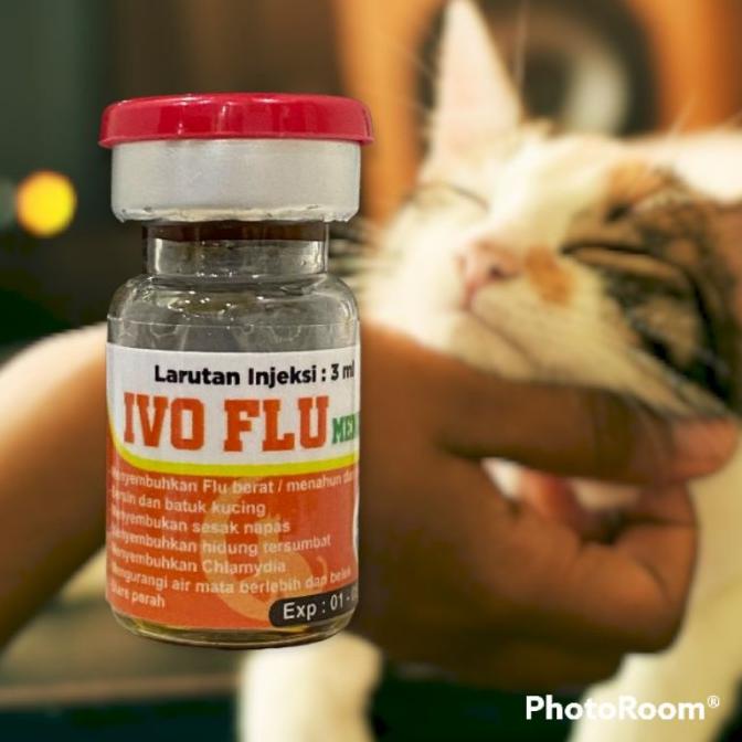 [AMPUH DAN MUJARAB] IVO FLU OBAT SUNTIK UNTUK FLU KUCING MENAHUN/BERAT
