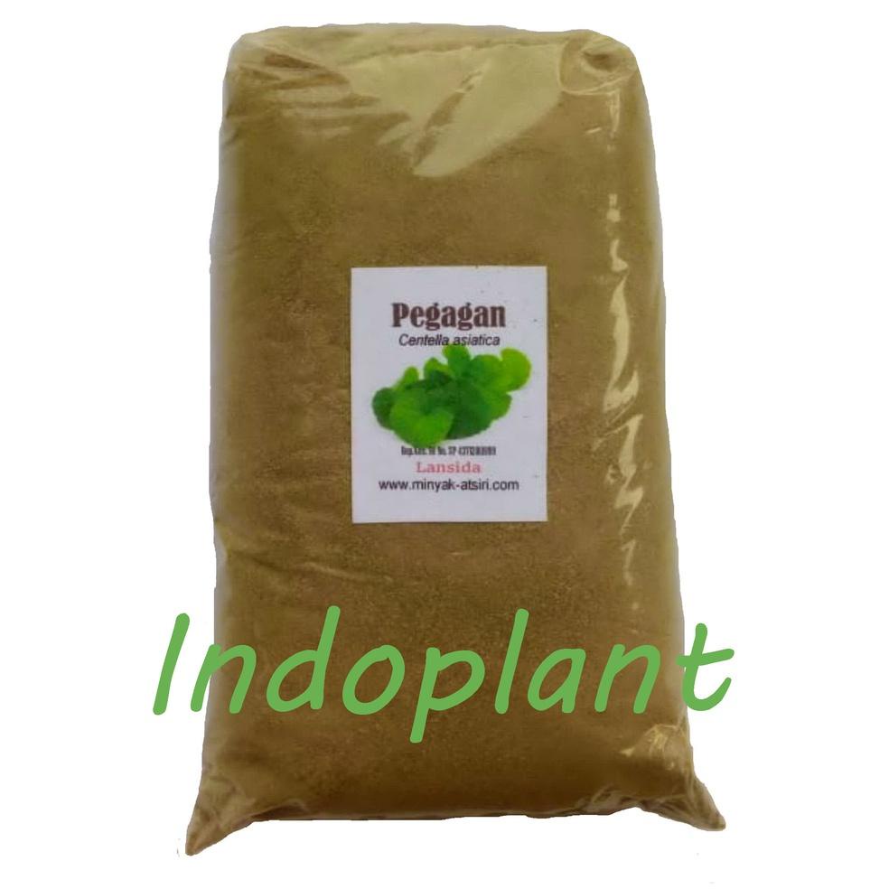 

Produk Premium.. Pegagan 250 g Simplisia Antanan Centella asiatica KMZ