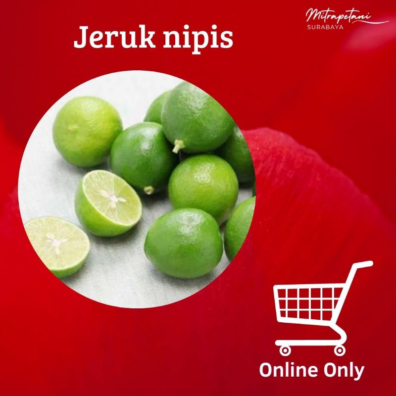 

Jeruk nipis,jeruk pecel segar 250 gram