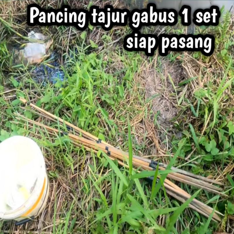 Pancing tajur 1 set siap pasang / pancing tajur ikan gabus