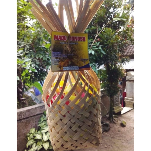 

MADU MONGSO KETAN BERAT 250 GR