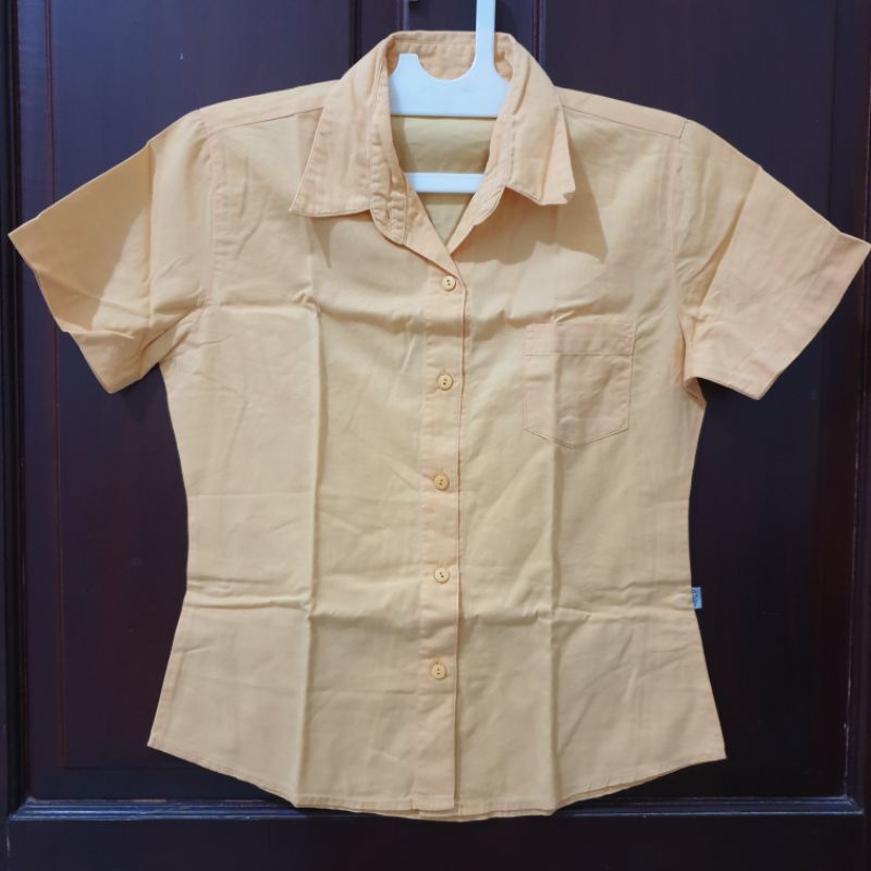 PL kemeja cewek DUST