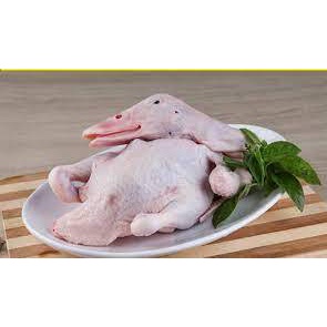 bebek peking/karkas bebek peking 1-1.5 kg