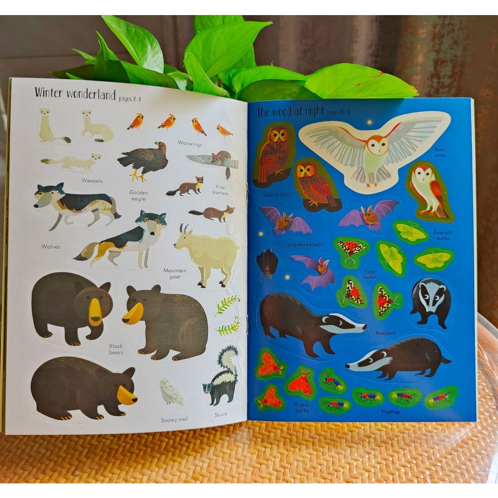 BUKU STIKER KETRAMPILAN ANAK USBORNE LITTLE FIRST STICKERS BOOK