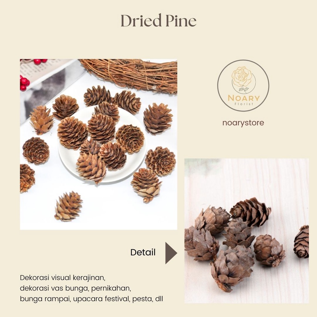 DRIED PINE